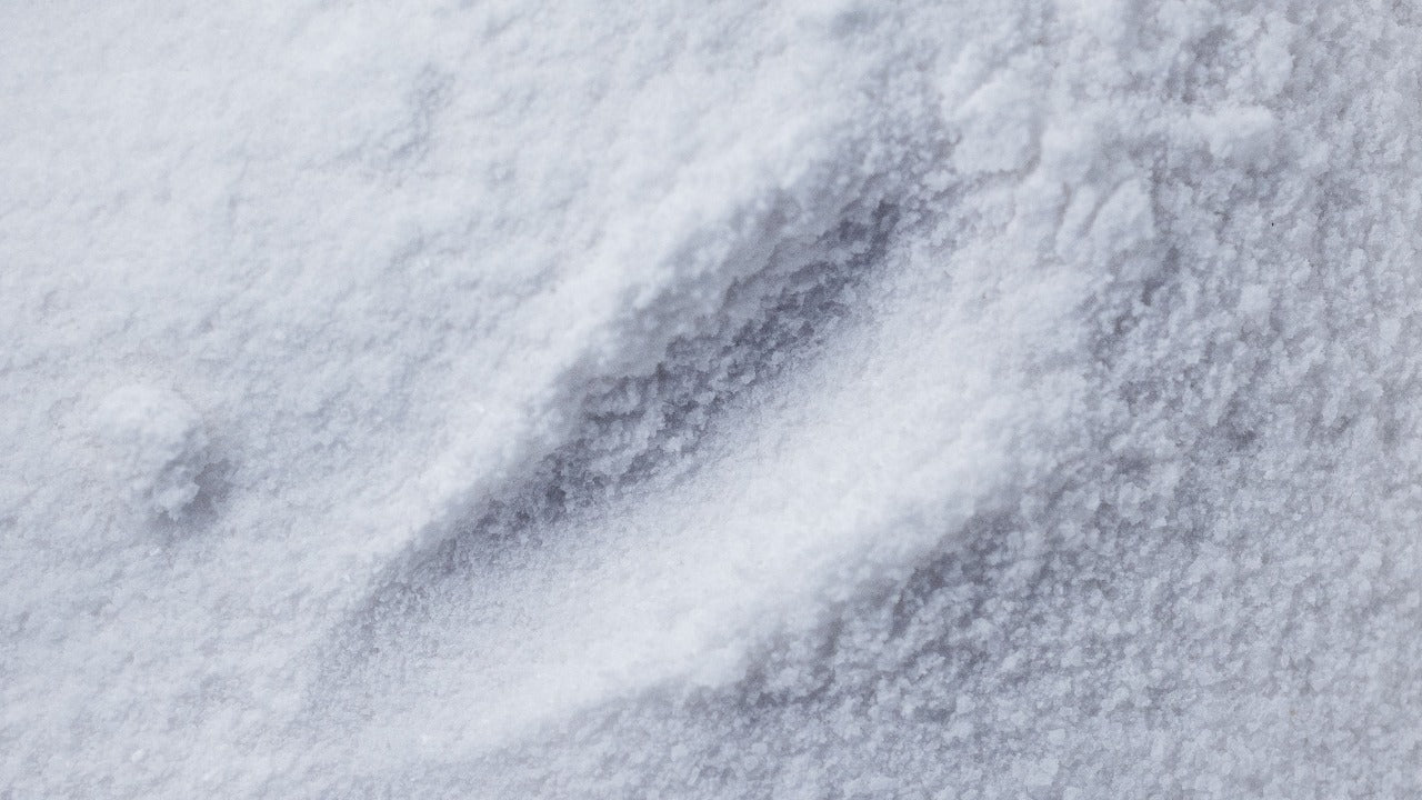 Hyaluronic Acid vs Sodium Hyaluronate: What's the Difference?